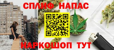 прущие грибы Будённовск