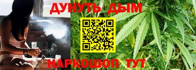 прущие грибы Будённовск