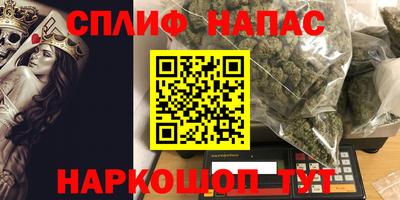 прущие грибы Будённовск