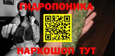 прущие грибы Будённовск