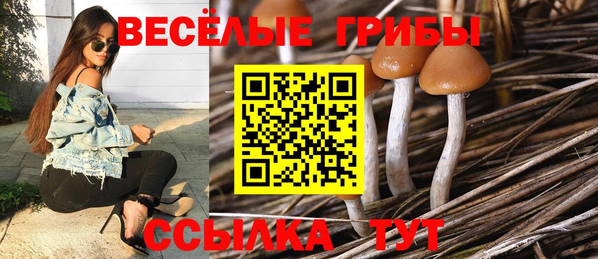 Галлюциногенные грибы Psilocybe  Вход с VPN  Ялуторовск  Псилоцибиновые грибы Psilocybe 